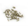 Eyeglasses Hinge Screw