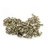 Eyeglasses Hinge Screw