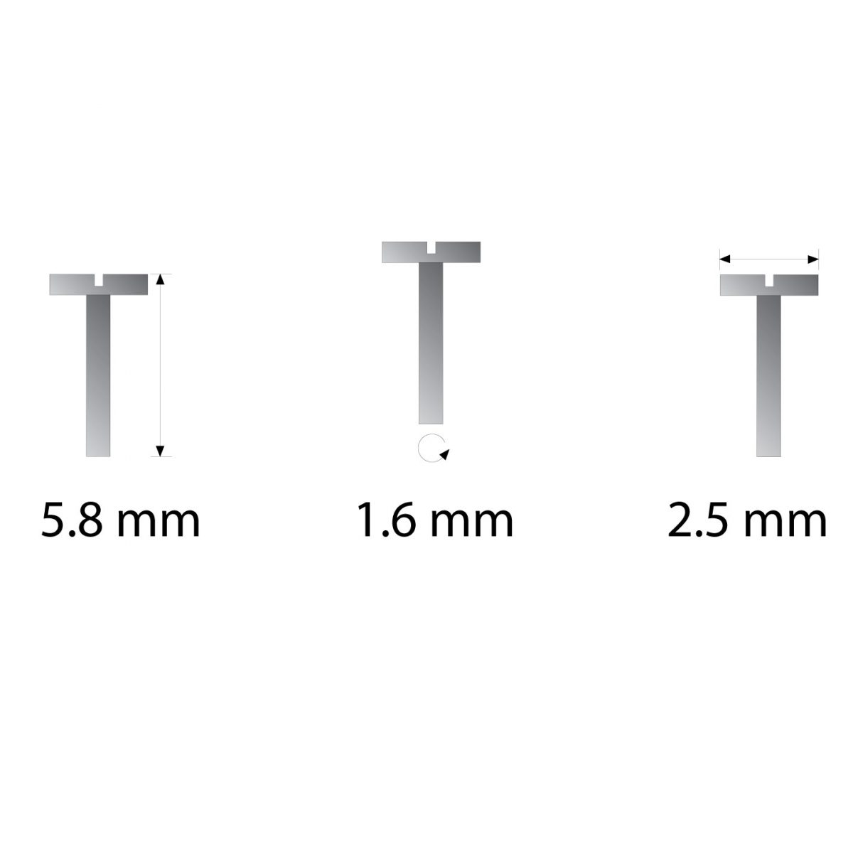 eyeglasses hinge screw