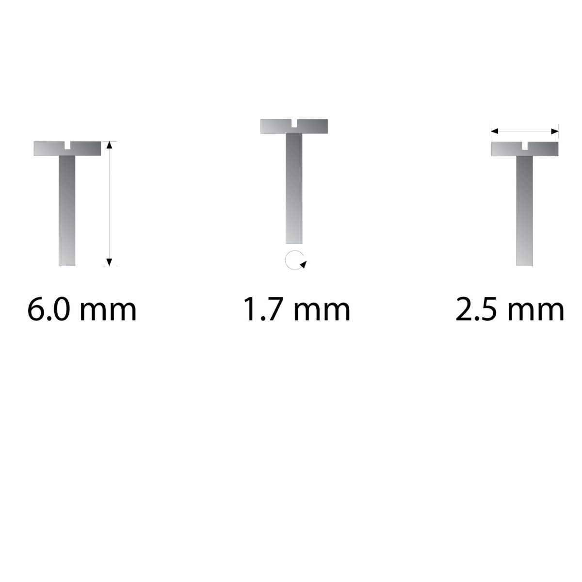 eyeglasses hinge screw size-6.0x1.7x2.5